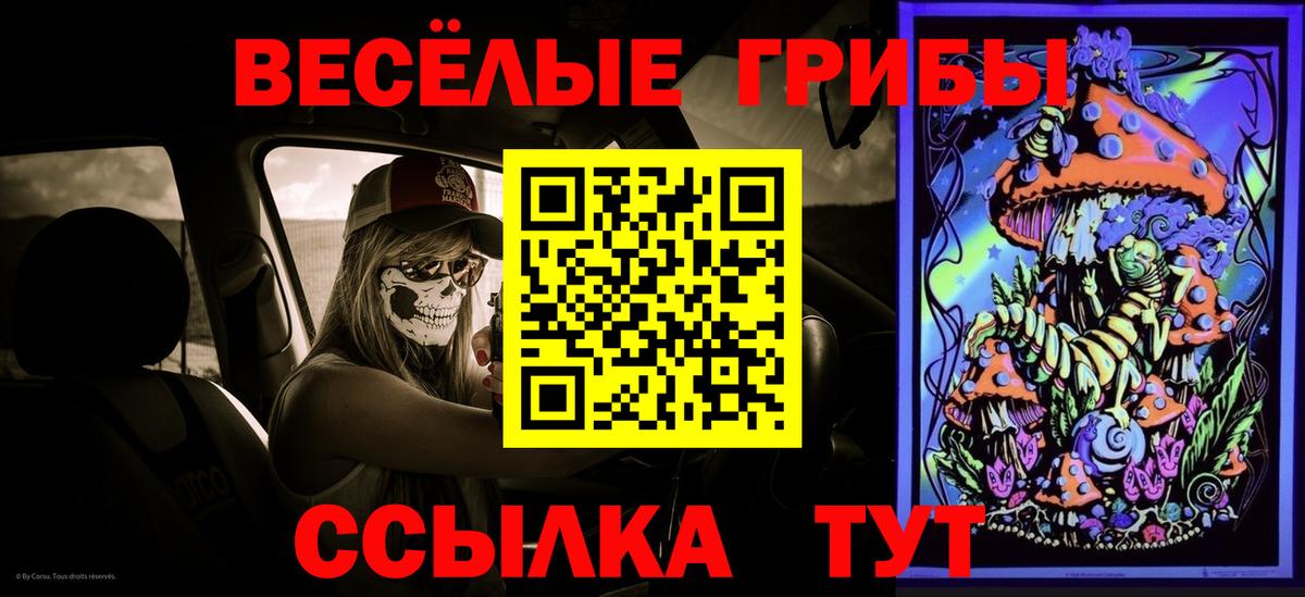 Якутск  цена наркотик  Вход с VPN  Галлюциногенные грибы GOLDEN TEACHER 
